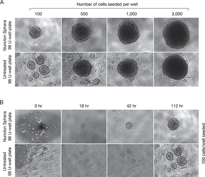 journalclub-spheroid-fig1 journalclub-spheroid-fig1