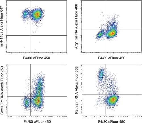 primeflow-rna-fig2 primeflow-rna-fig2