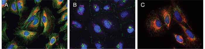 superboost-fig4 superboost-fig4