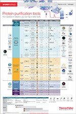 online-protein-purification-poster online-protein-purification-poster