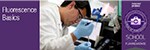 online-fluorescence-basics online-fluorescence-basics