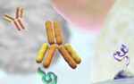 Antibodies Learning Center Antibodies Learning Center