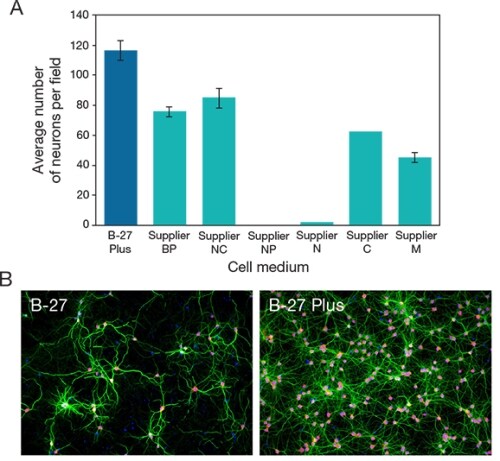 B-27 Plus 神经元培养系统有助于提高存活率 B-27 Plus 神经元培养系统有助于提高存活率