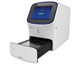 The iBright FL1000 Imaging System The iBright FL1000 Imaging System