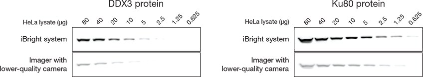 iBright Imaging Systems feature a powerful 9.1 megapixel camera iBright Imaging Systems feature a powerful 9.1 megapixel camera