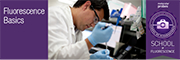 Molecular Probes School of Fluorescence: Flow Cytometry Basics module Molecular Probes School of Fluorescence: Flow Cytometry Basics module