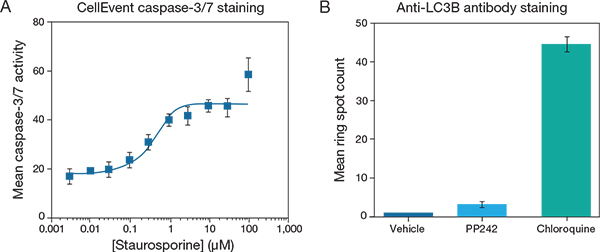 High-content analysis of apoptosis and autophagy High-content analysis of apoptosis and autophagy