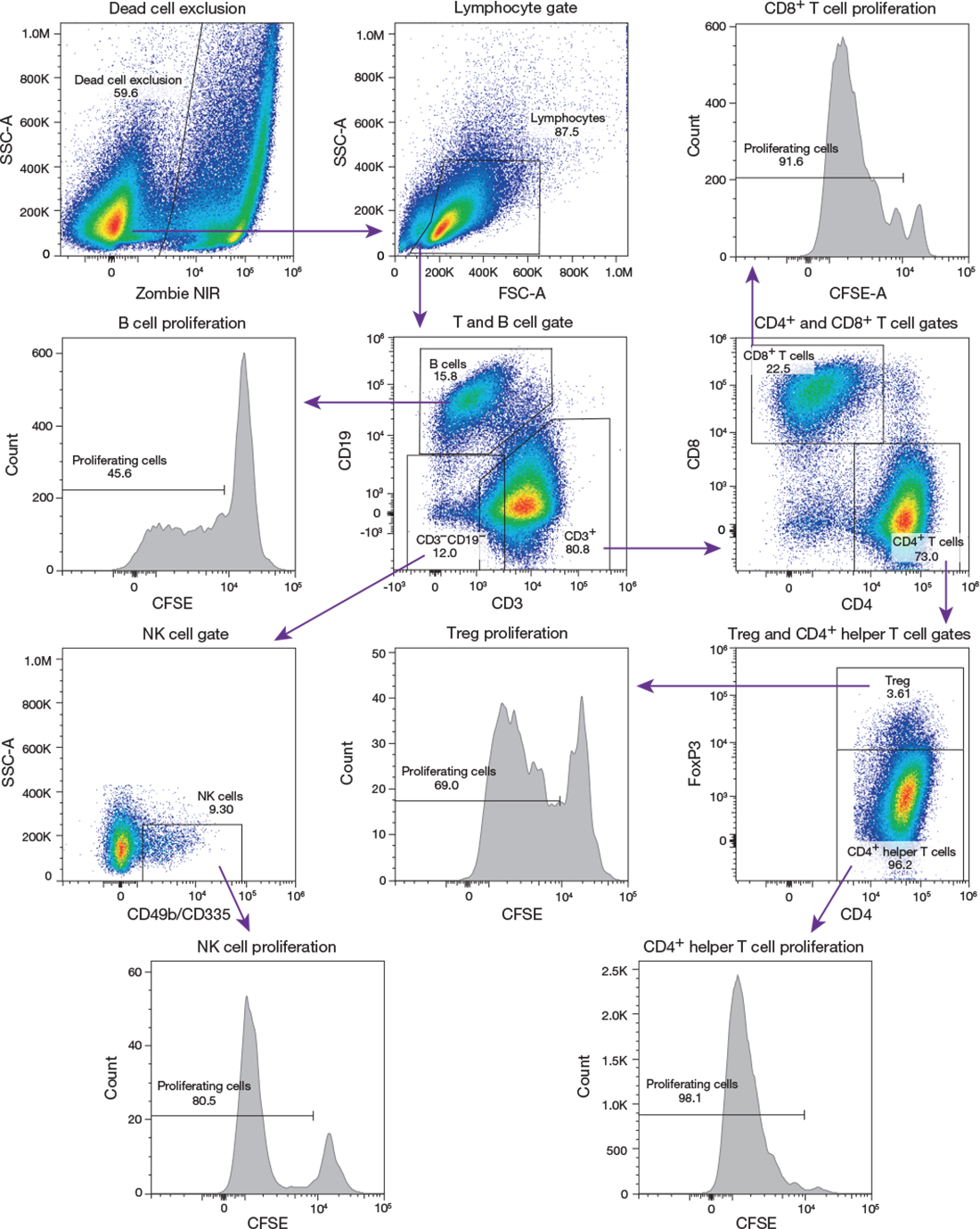 Profile of stimulated splenocytes Profile of stimulated splenocytes