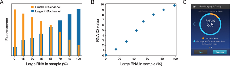 Qubit RNA IQ fluorescence response and IQ value Qubit RNA IQ fluorescence response and IQ value