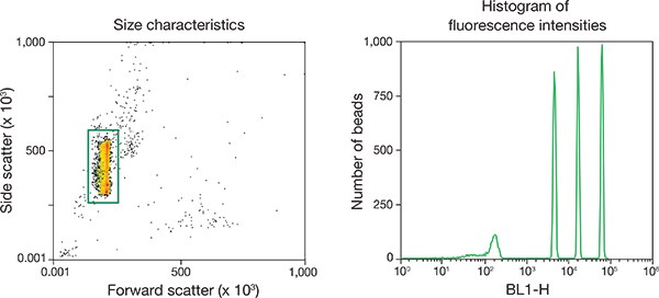 Size and fluorescence of the GFP BrightComp eBeads Compensation Beads Size and fluorescence of the GFP BrightComp eBeads Compensation Beads