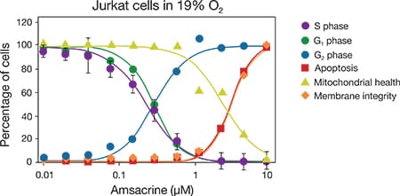 Multiplex staining of Jurkat cells Multiplex staining of Jurkat cells