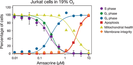 Multiplex staining of Jurkat cells Multiplex staining of Jurkat cells