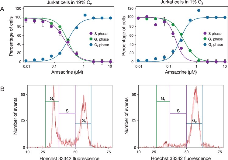 Effective dose response to drugs in each phase of the cell cycle Effective dose response to drugs in each phase of the cell cycle