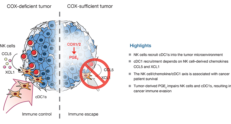 Graphical abstract Graphical abstract