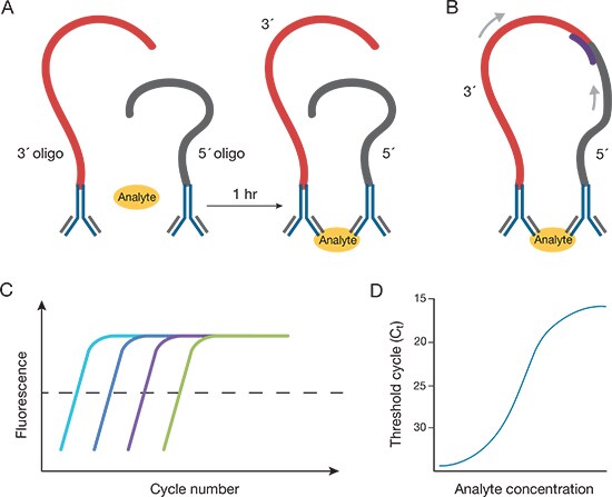 ProQuantum免疫分析的工作原理 ProQuantum免疫分析的工作原理