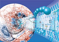 5th Annual Thermo Scientific Tandem Mass Tag (TMT) Research Awards: Winners announced! collage-mass-spec-data-output-within-protein-structure