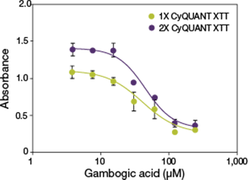 图1.确定最佳试剂浓度。 用 1X 或 2X XTT 检测的球状体吸光度与藤黄酸酸浓度的线图