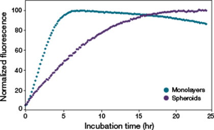 图2.确定最佳试剂孵育时间。 使用 PrestoBlue 细胞活力试剂检测的单层或球状体的荧光与孵育时间的线图