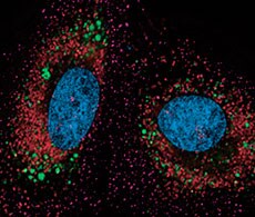 bioprobes-2010 bioprobes-2010