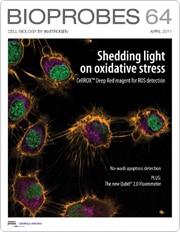 BioProbes 64 BioProbes 64