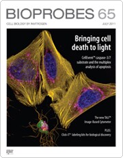 BioProbes 65 BioProbes 65