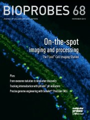 BioProbes 68 cover BioProbes 68 cover