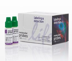 ActinGreen™ 488 ReadyProbes® Reagent Image of ActinGreen™ 488 ReadyProbes® Reagent packaging