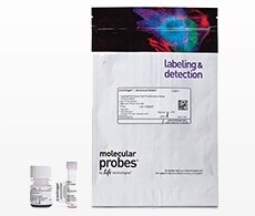 Molecular Probes product pouch image of CyQUANT® Direct Microplate Reagent Kit