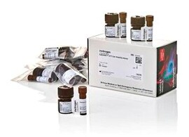 CyQuant XTT product packaging CyQuant XTT Product packaging