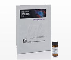 Molecular Probes® DAPI Image of Molecular Probes® DAPI packaging