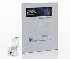 HCS CellMask™ Stains Image of HCS CellMask™ Stains packaging