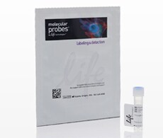 HCS NuclearMask™ Deep Red Stain Image of HCS NuclearMask™ Stain packaging