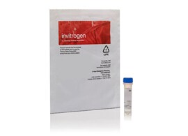 Image-iT DEAD Green Viability Stain Image-iT DEAD Green Viability Stain