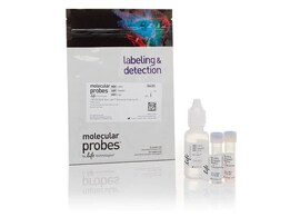 双色细菌活性检测 双色细菌活性检测