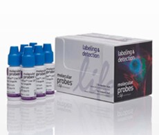 NucBlue® Fixed Cell ReadyProbes® Reagent Image of NucBlue® Fixed Cell ReadyProbes® Reagent packaging