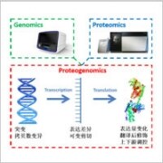 精准分型 精准分型
