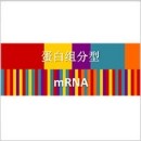 蛋白质组分型 蛋白质组分型