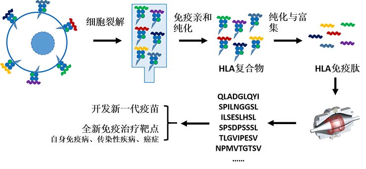 精准治疗 精准治疗