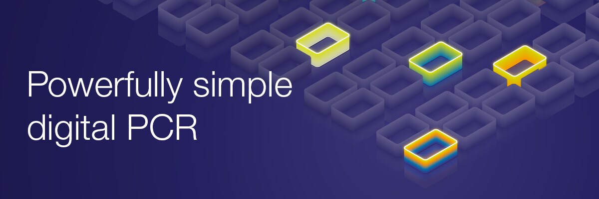 3. AbsoluteQ_WebHeader_1200_400 3. AbsoluteQ_WebHeader_1200_400