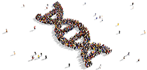 Microarray Analysis Services Microarray Analysis Services