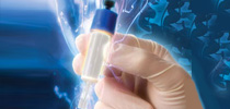 Microarray Analysis Services Microarray Analysis Services