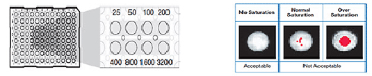 7500 Custom Dye Saturation 7500 Custom Dye Saturation