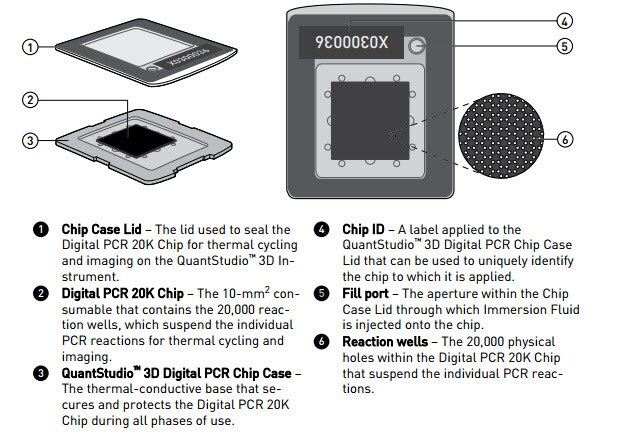 QS-3D-Chip-layout QS-3D-Chip-layout