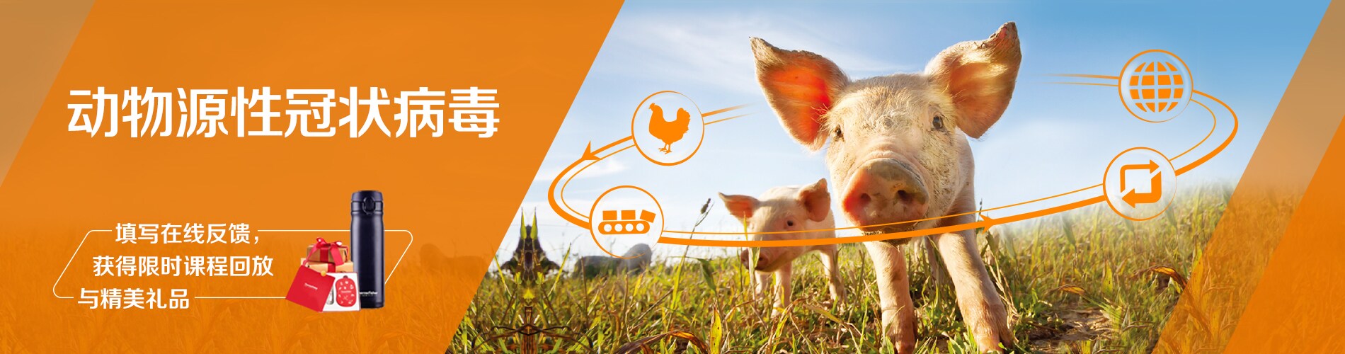 animal-derived-coronavirus-banner-210224 animal-derived-coronavirus-banner-210224