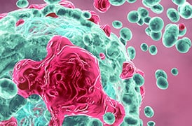 使用冷冻电镜进行癌症研究 使用冷冻电镜进行癌症研究