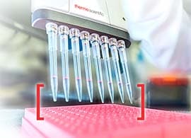 PCR lab essentials PCR lab essentials