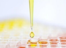 Thermo Scientific 多孔板和微孔板 Thermo Scientific 多孔板和微孔板