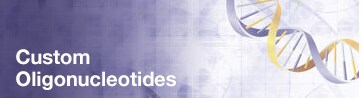 Custom-Oligos Custom-Oligos