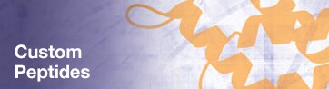 Custom Peptides Custom Peptides