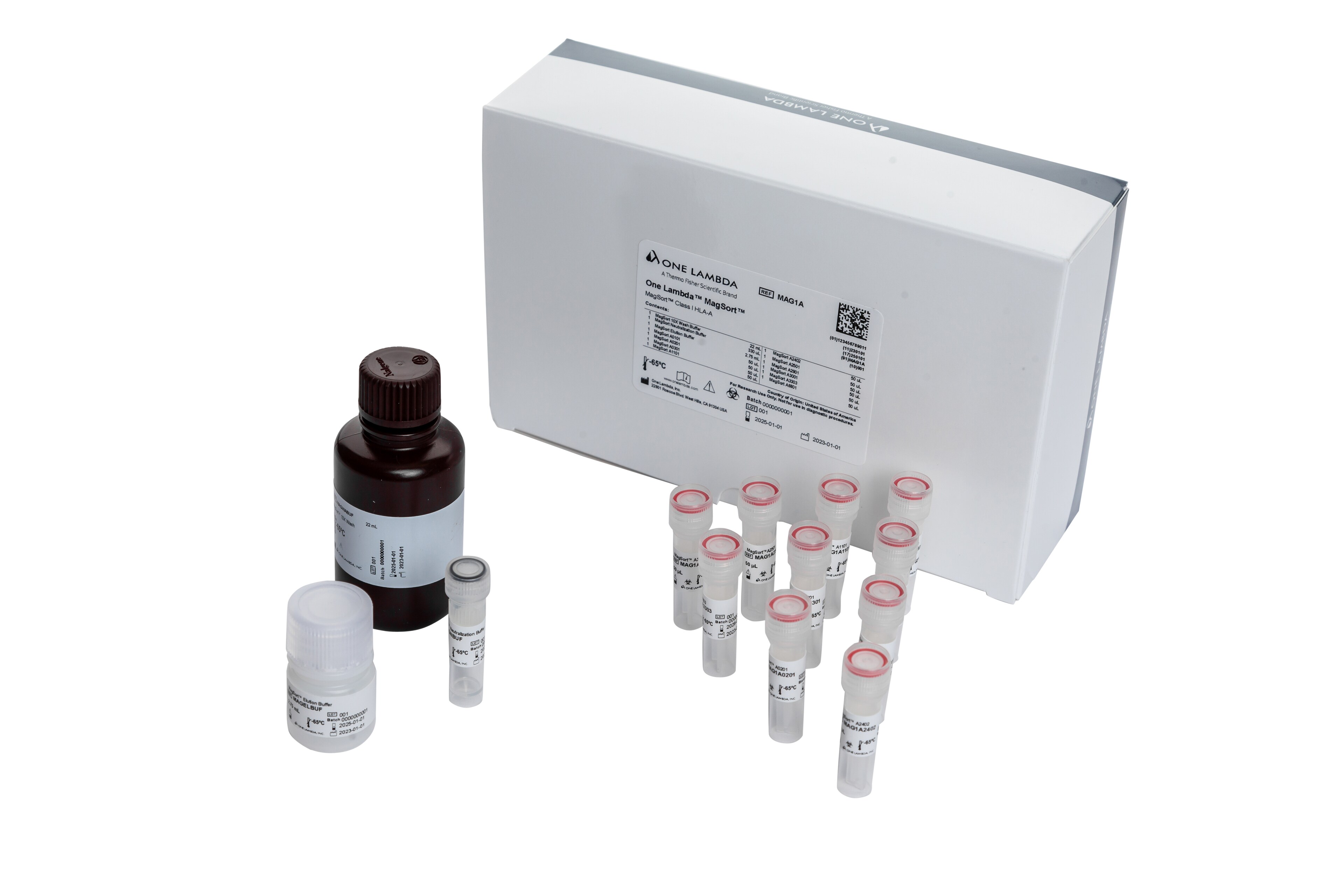 One Lambda MagSort Class I HLA-A